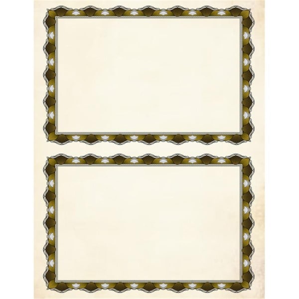 Toyopia Heavyweight Certificate Kit, Gold, 12PK TO3186655 - main