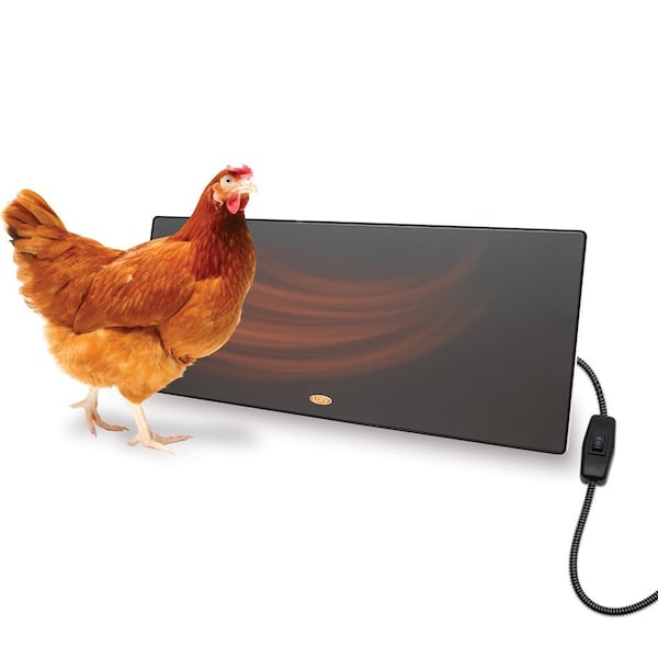 Cozy Products Cozy Chickens Heater Panel CC-COOP-HP - main