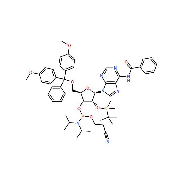 Ak Scientific Bz-rA Phosphoramidite (250mg), CAS 104992-55-4 1165AA-250mg - main