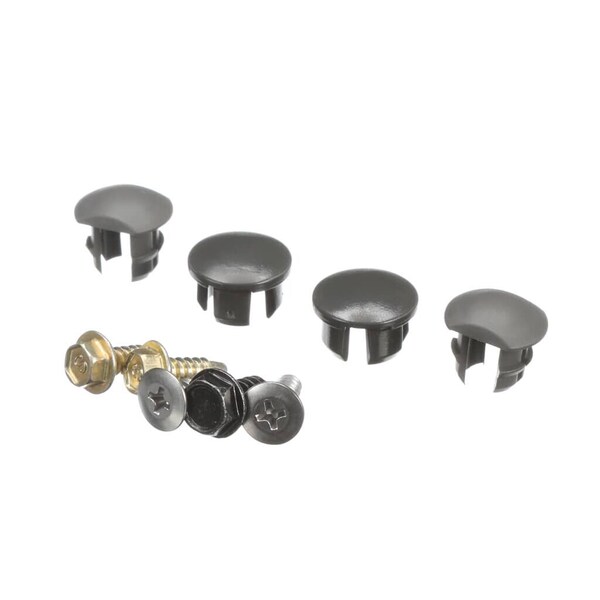 Ge COUNTERTOP SCREWS AND PLUG BUT WD02X32138 - main