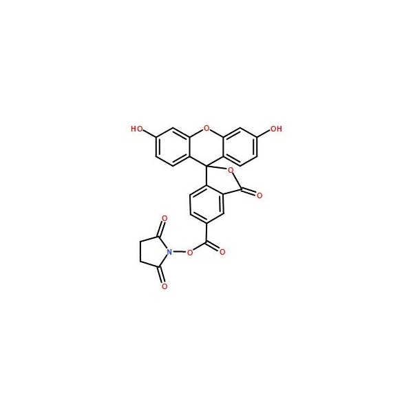 Ak Scientific 5-FAM, SE (250mg), CAS 92557-80-7 3330AH-250mg - main
