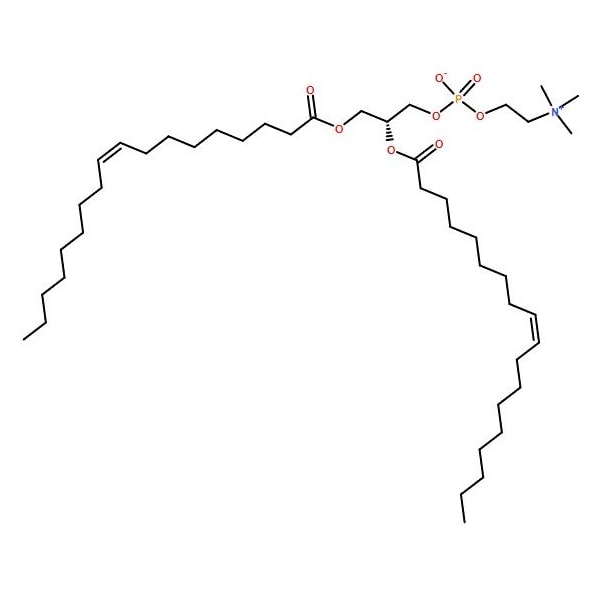 Ak Scientific 1, 2-Dioleoyl-sn-glycero-3-phosphocholine (1g), CAS 4235-95-4 1116AH-1g - main