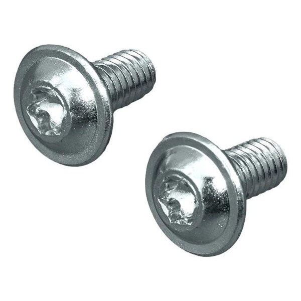 Rittal M6 X 12Mm Torx Screw Pu=300, 300PK 2504500 - main