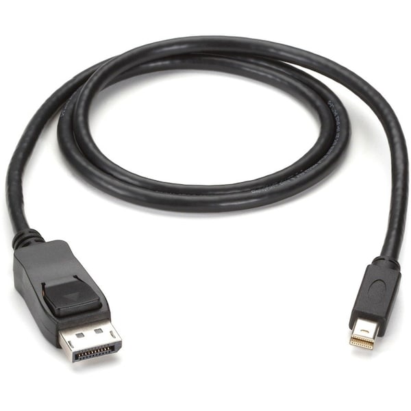 Black Box Mini Displayport To Displayport Cable ENVMDPDP-0010-MM - main