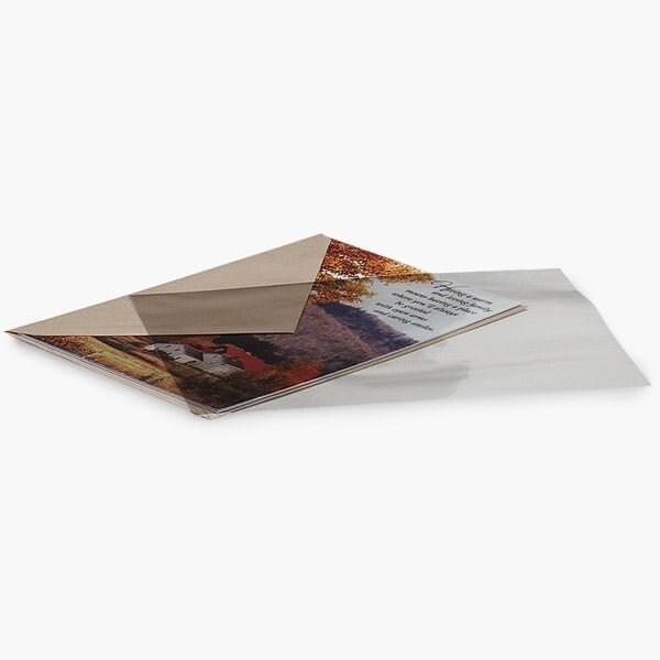 Nashville Wraps Clear Flat Cello Bags, 6.25x9.25, 100PK CA6F - main