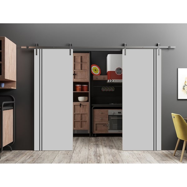 Sartodoors Sliding Double Barn Doors with Hardware, Planum 0016 Matte Grey and Aluminum Strips, 13FT Rail Hang PLANUM0016DB-S-GRE-5684 - main