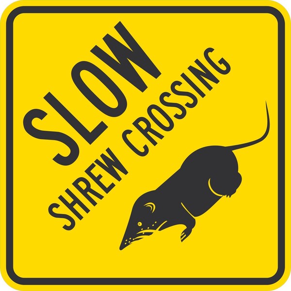 Lyle Slow Shrew Crossing (with Shrew Graphic), 24x24, Non-Reflective, Yellow G-13425-NA_24x24 - main