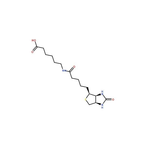 Ak Scientific N-(+)-Biotinyl-6-aminohexanoic acid (1g), CAS 72040-64-3 1178AC-1g - main
