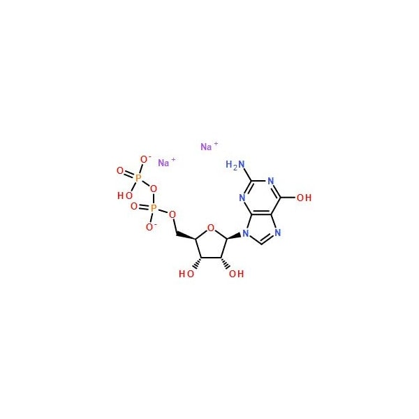 Ak Scientific Guanosine-5'-diphosphate disodium salt (5g), CAS 7415-69-2 Z6067-5g - main