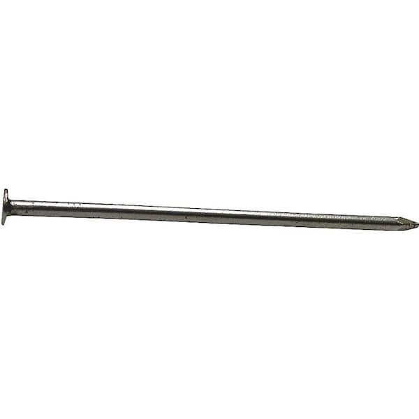 Prosource Common Nail, 2 in L, 6D, Hot Dipped Galvanized Finish 00054132 - main