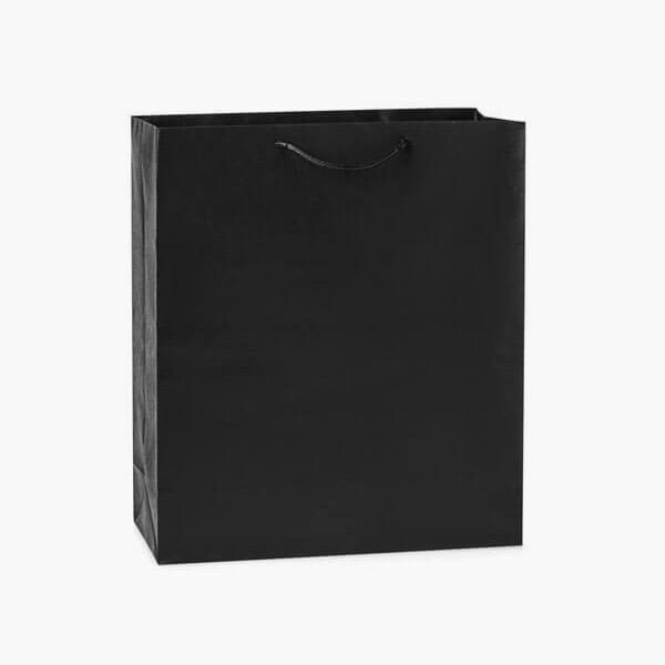 Nashville Wraps Black Kraft Gift Bags, Queen 16x6x19, 10PK KTQMBK - main