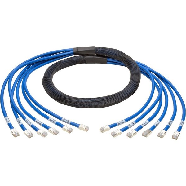 Eaton Tripp Lite Series Cat6a 10G Pre-Terminated Copper Trunk Assembly 6x RJ45 M/M, Blue, 6 ft. N261-006-6MM-BL - main