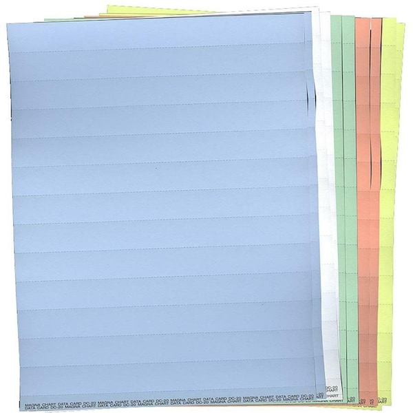 Magna Visual Data Cards, Full Sheet, Mixed, PK10 DC-20M - main