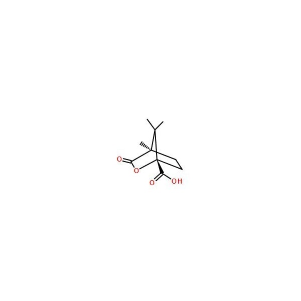 Ak Scientific (1S)-(-)-Camphanic acid (1g), CAS 13429-83-9 K793-1g - main