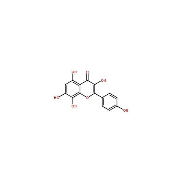 Ak Scientific Herbacetin (25mg), CAS 527-95-7 8144AH-25mg - main