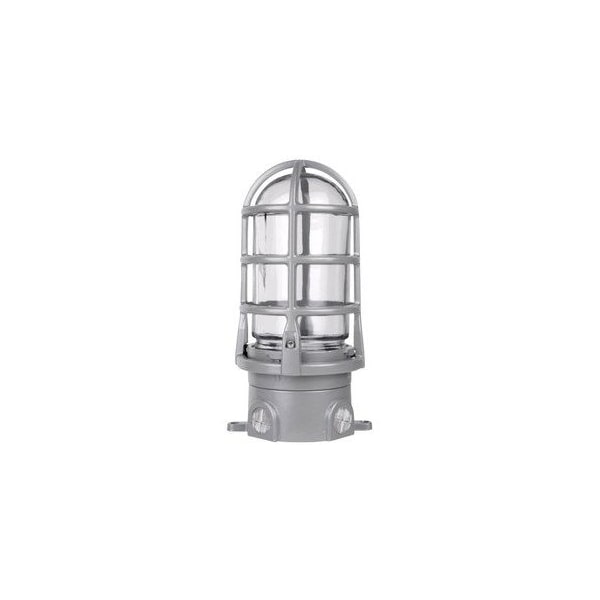 Red Dot Ceiling Mount Cross Feed Box Cap with Globe & Guard VXG-11-C - main