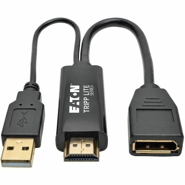 Tripp Lite HDMI/DVI DISPLAYPORT CONVERTER USB POWER P130-06N-DP-V2 - main