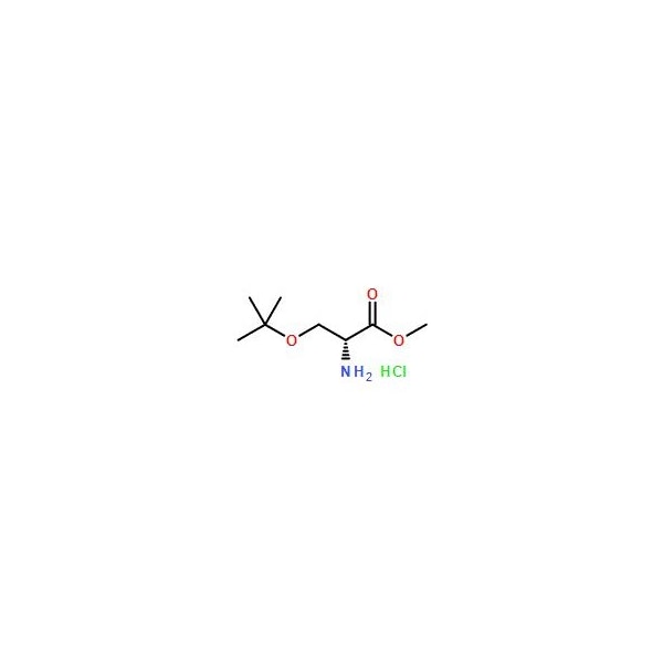 Ak Scientific H-D-Ser(tBu)-OMe hydrochloride (5g), CAS 78537-14-1 2294AC-5g - main