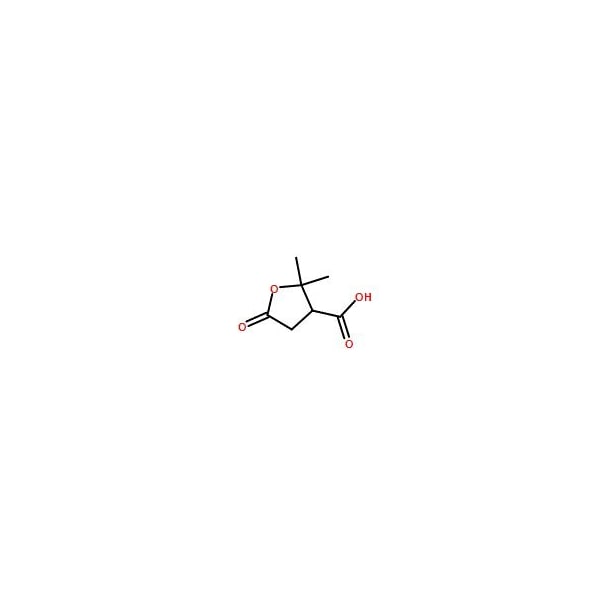 Ak Scientific Terebic acid (1g), CAS 79-91-4 9021AL-1g - main