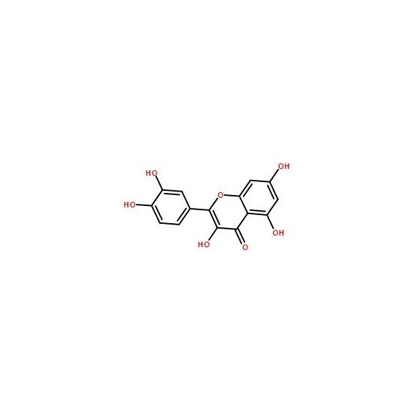 Ak Scientific Quercetin (25mg), CAS 117-39-5 S295-25mg - main