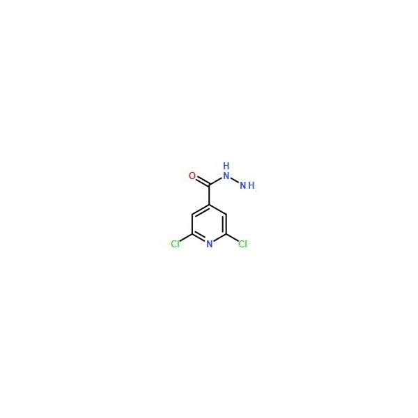 Ak Scientific 2, 6-Dichloroisonicotinohydrazide (5g), CAS 57803-51-7 5960AE-5g - main