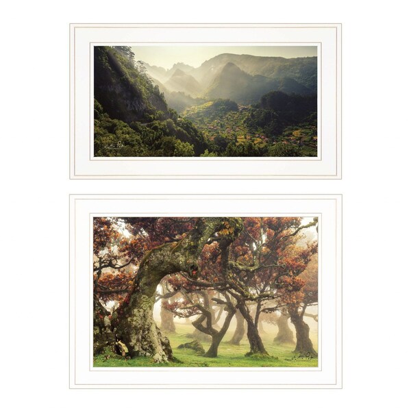 Homeroots Set Of Two The Land of Hobbits 1 White Framed Print Wall Art, 2PK 406158 - main