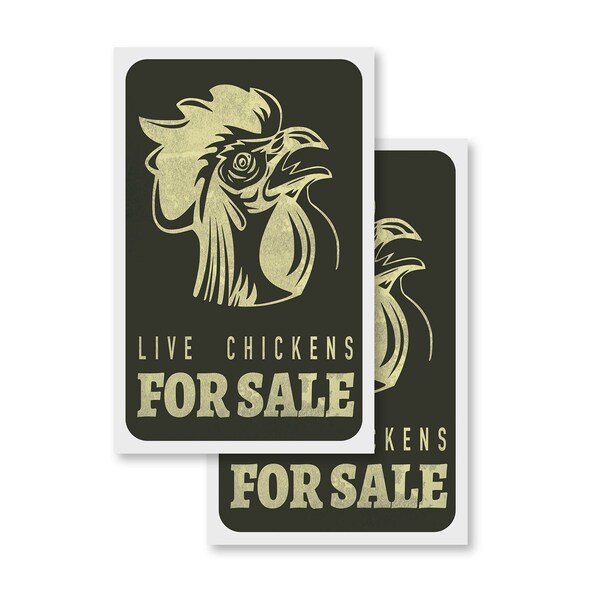 Signmission Live Chickens, Vinyl Decals Only 24 Inch x 36 Inch, Vinyl Decal, 2PK DSB-2436-2PACK-30400 - main