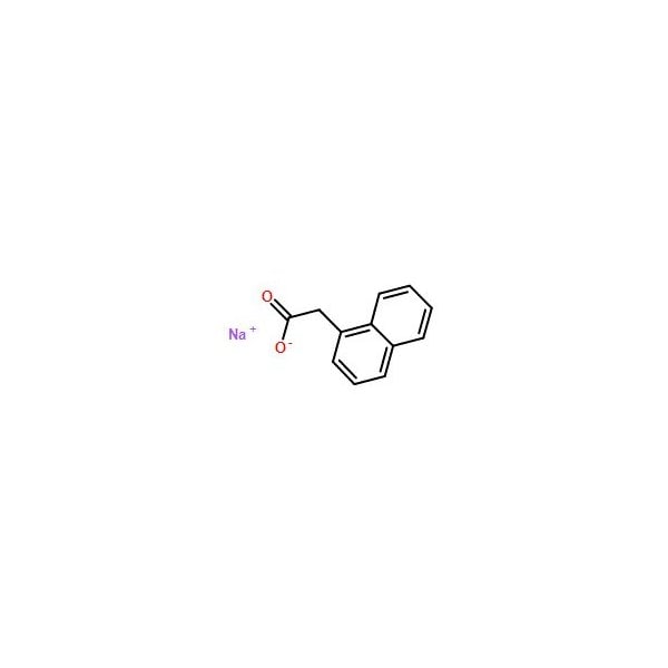 Ak Scientific Sodium 1-naphthaleneacetic acid (25g), CAS 61-31-4 Z3730-25g - main