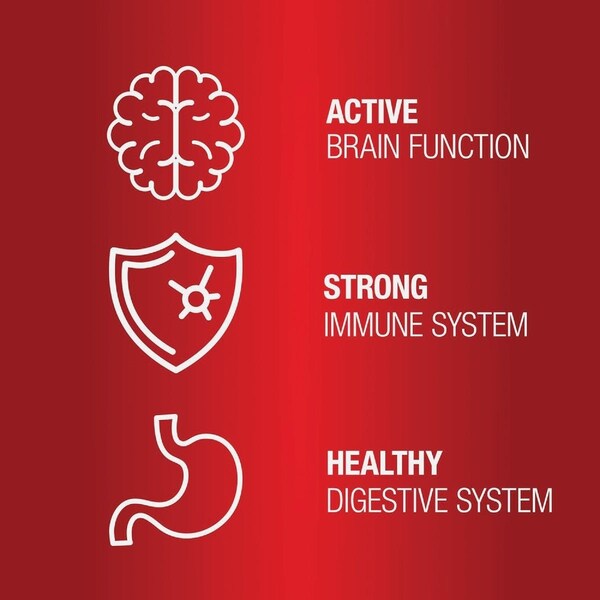 Vetiq 7.4 Oz. Multi Vitamin Dog Chew, 60PK 183170 - main