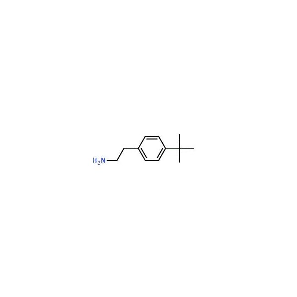 Ak Scientific 2-(4-(tert-Butyl)phenyl)ethanamine (5g), CAS 91552-82-8 W9484-5g - main