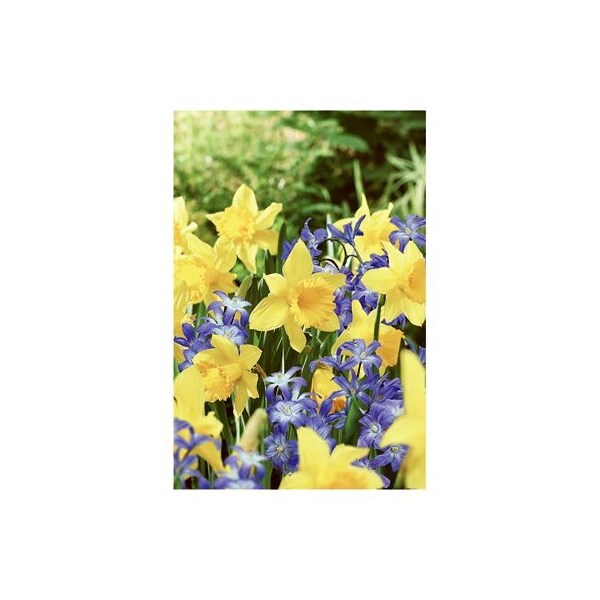 Artstone 12 in. GRY Napa Planter 31120 - main