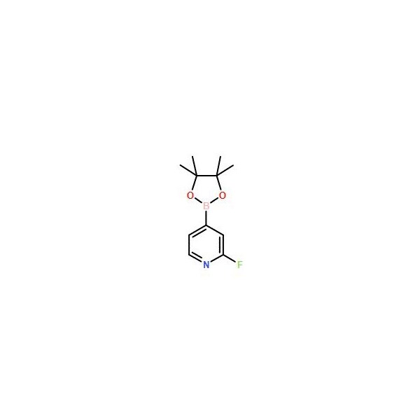 Ak Scientific 2-Fluoropyridine-4-boronic acid pinacol ester (1g), CAS 458532-86-0 Y9155-1g - main