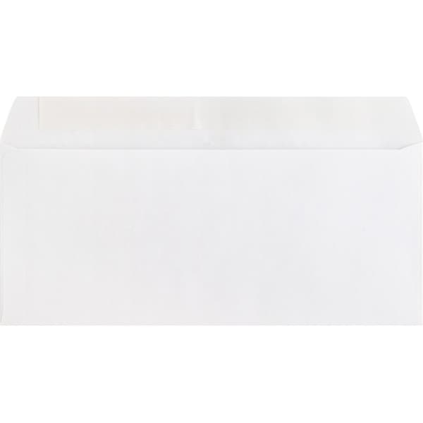 Business Source ENVELOPE, PEELTOSEAL, PLN, REG, PK500 BSN04646 - main