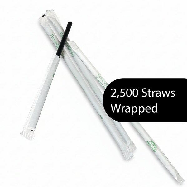 Beyondgreen Jumbo PHA Straws, 2500PK STR0775BLK-B - main