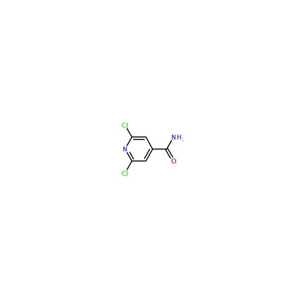 Ak Scientific 2, 6-Dichloroisonicotinamide (1g), CAS 89281-13-0 Z1030-1g - main