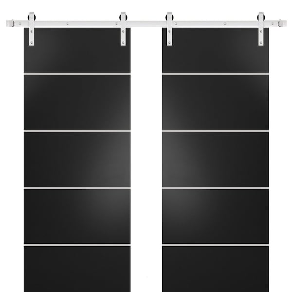 Sartodoors Sturdy Double Barn Door with Hardware, Planum 0210 Black Matte and Aluminum Strips, 13FT Rail Hange PLANUM0210DB-S-BLK-60 x 96 (2* 30x96) - main