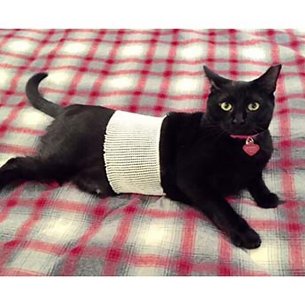 Jorgensen Laboratories JorNet Tubular Elastic Retainer Net - 5 J1533B - main