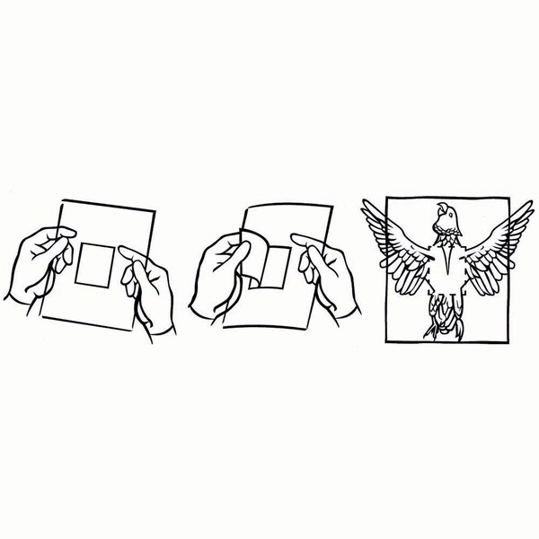 Jorgensen Laboratories Avian Adhesive Drape, 44"x44", Sterile, 5PK J0259X - main