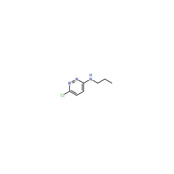 Ak Scientific 6-Chloro-N-propylpyridazin-3-amine (1g), CAS 951885-19-1 4211AF-1g - main