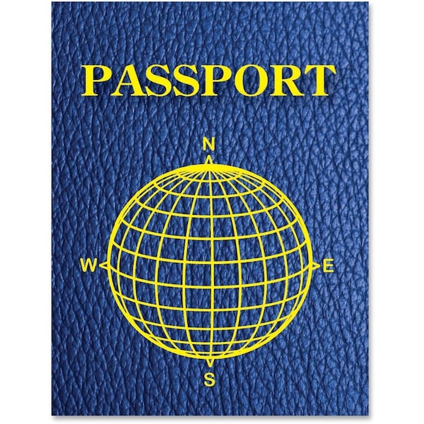 Ashley Productions Blank Passports, 12 Per Pack, PK3 10708 - main