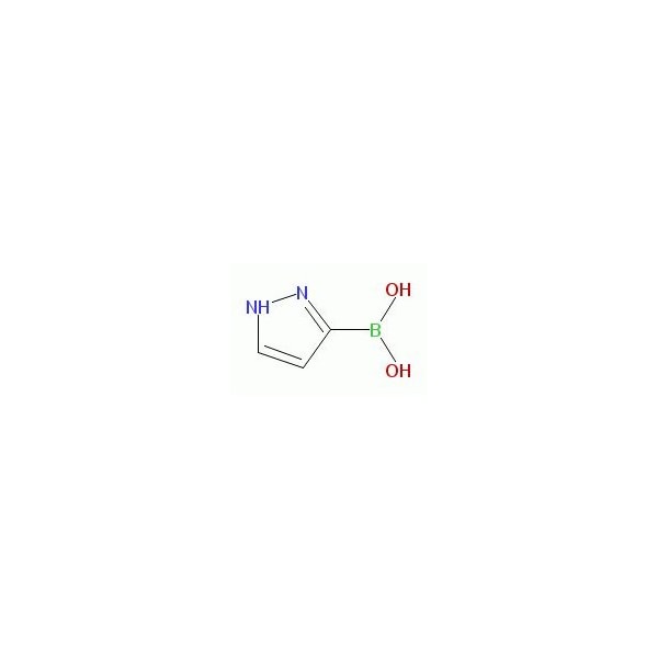 Ak Scientific (1H-Pyrazol-3-yl)boronic acid (1g), CAS 376584-63-3 W5854-1g - main