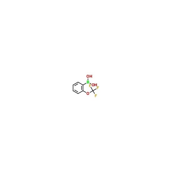 Ak Scientific 2-(Trifluoromethoxy)phenylboronic acid (1g), CAS 175676-65-0 E256-1g - main