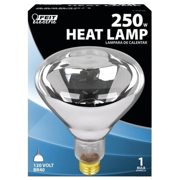 Feit Electric Incandescent Lamp, 250 W, R40 Lamp, Medium E26 Lamp Base, 2200 Lumens, 2700 K Color Temp 250R40/1 - main