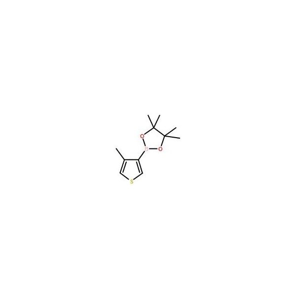 Ak Scientific 4-Methylthiophene-3-boronic acid pinacol ester (5g), CAS 476620-20-9 X0827-5g - main