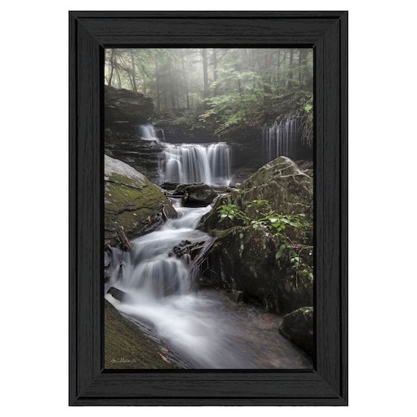Homeroots Ricketts Waterfall Black Framed Print Wall Art 530008 - main