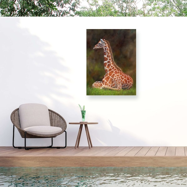 Trademark Fine Art Outdoor Canvas Art David Stribbling 'giraffe resting' Wall Art for Patios, or Gardens GRL01512-OC2432WR - main