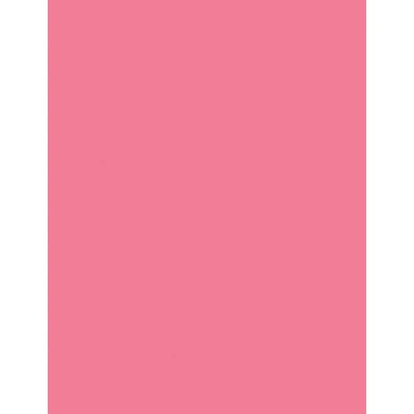 Pacon Corporation Pacon 102212 Kaleidoscope Multipurpose Colored Paper- 24lb- 8-1/2 x 11- Coral Red- 500/Ream 102212 - main