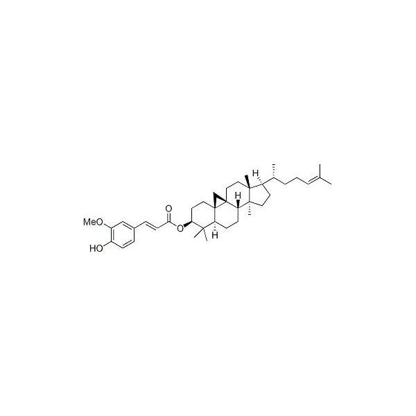Ak Scientific gamma-Oryzanol (1g), CAS 11042-64-1 M523-1g - main