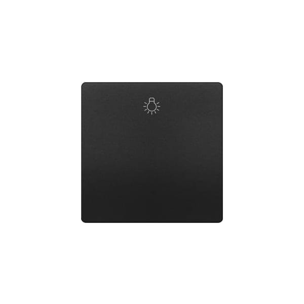 Siemens DELTA style, Antracite cosso Rocker switch with symbol Light 5TG7141-0AC20 - main