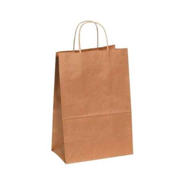 Partners Brand Paper Shopping Bags, 10" x 5" x 13", Kraft, PK250 BGS104K - main